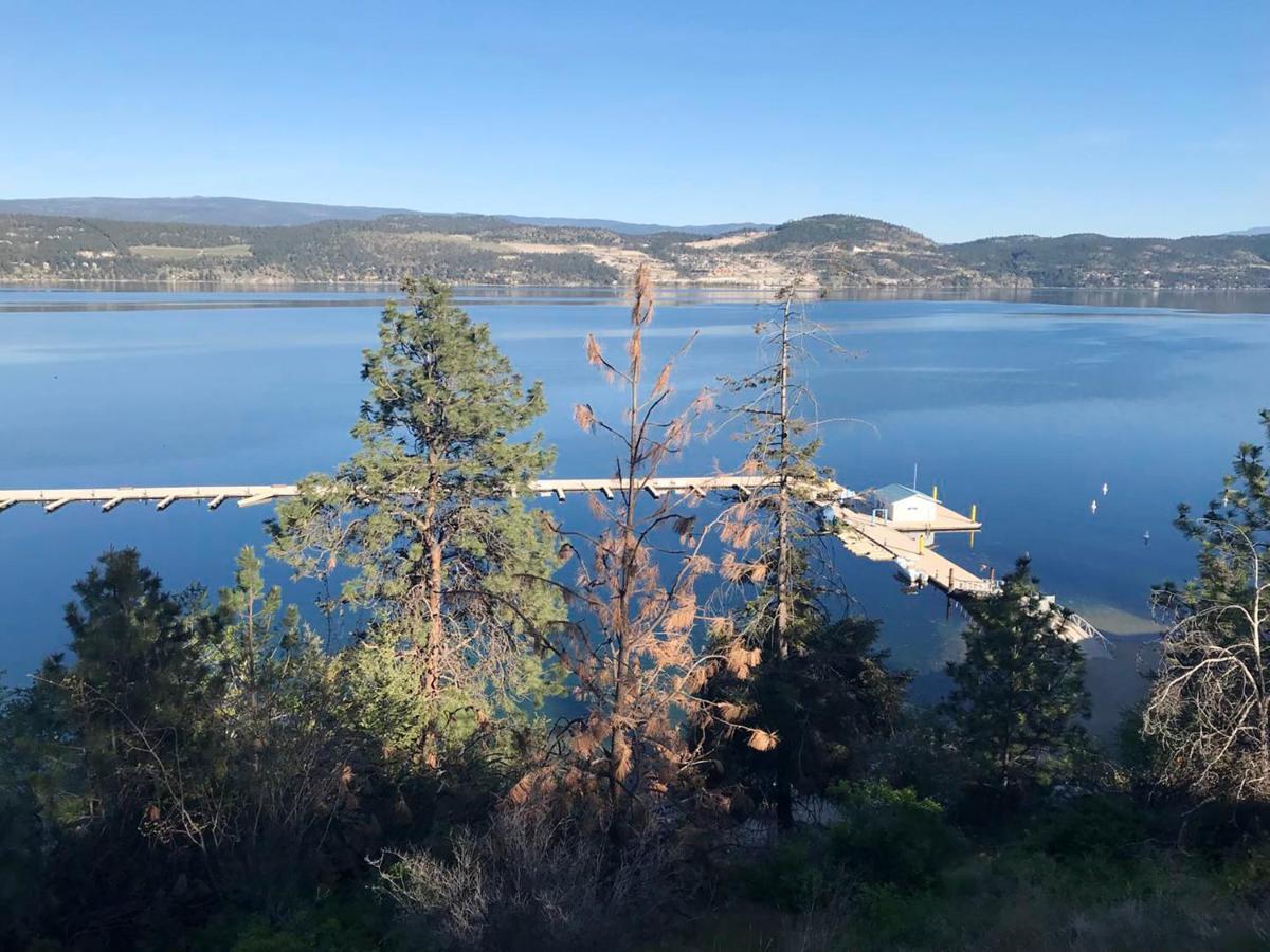 Cozystay Signature Lake Okanagan Resort Kelowna Exterior foto
